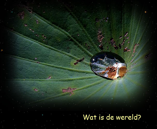 Wat is.....?