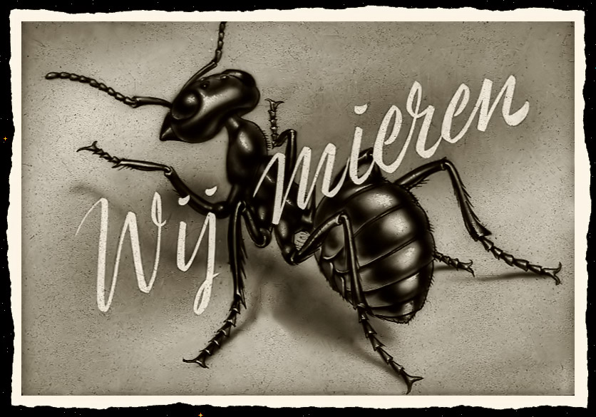 wij mieren